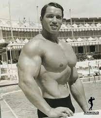 We did not find results for: Young Arnie Arnold Schwarzenegger Bodybuilding Arnold Schwarzenegger Schwarzenegger Bodybuilding