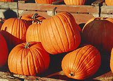 Don't miss out on pumpkin for breakfast. Indigenous Cuisine Of The Americas Wikipedia