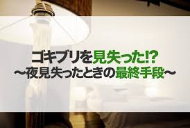 ゴキブリを見失ったときの対処法 よく隠れる場所と一時的な侵入防止対策 レスキューラボ