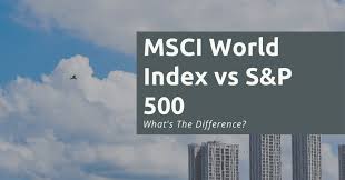 The msci world and ftse all share indices gained in eight of the 11 years. Msci World Index Vs S P 500 Which Index Is Better 2021 Financially Independent Pharmacist