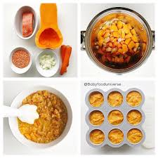 Salmon Lentil Butternut Squash Puree 6mo Homemade Baby Food Pureed Food Recipes Baby Food Recipes Food