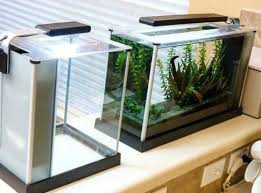 The Best Aquarium Light Timers For 2020 Get Aquarium Fish Aquarium Lighting Aquarium Led Aquarium Lighting