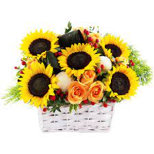 We've compiled the following list as an easy reference to show what's accepted. Best Deal On Get Well Soon Hamper Singapore Littleflowerhut Co