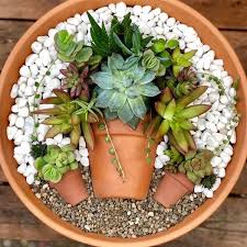Succulent Pot In A Pot Charming Ideas Unique Balcony Garden Decoration And Easy Diy Ideas Succulents Succulent Pots Small Succulents