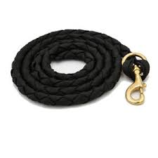 The small wild ponies, so typical for yonaguni, are almost everywhere on the island. Hochwertiger Fuhrstrick Fur Pferd Der Rasse Yonaguni Pony Messing Karabiner Ebay