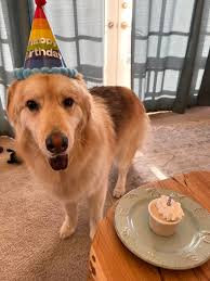 Cobyn 5 years ago♥️♥️🐾🐾🐾🐾