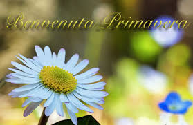 Estas son las mejores frases de la primavera que encontrarás; Frasi Sulla Primavera E Immagini Fiori Di Benvenuta Primavera
