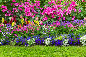 Get some pointers from diy network for making an ornamental flower bed as beautiful as possible. 5 Tips To Create The Perfect Flower Bed Petty S