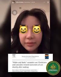 WAKE AND BAKE 🍞🥐🥖🥧🎂 Predictors and Cannabis-Related Outcomes of Use  Shortly After Waking The current study examined predictors and  cannabis-related outcomes of wake-and-bake cannabis use, defined as using  cannabis within 30 minutes