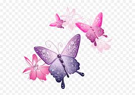 Flower pattern, watercolor roses and butterflies seamless background, watercolor painting. Pink Butterfly Png Mart Transparent Background Pink Butterfly Png Butterfly Transparent Free Transparent Png Images Pngaaa Com