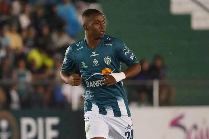 OLHO NELE! Joia guatemalteca revela bastidores de Cotia e motivo de não ter estreado