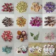 Then how to make dried flowers, let's try this easy and quick way, using your thick dictionary. 4g Diy Scented Candle Flower Handmade Aromatherapy Candle Dried Flower Walmart Com Walmart Com