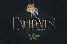 But we still have a lot to offer for you. Enchants Magical Font Extras Clean Fonts Fonts Design Stylish Text