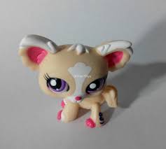 Resultado de imagem para lps passaros