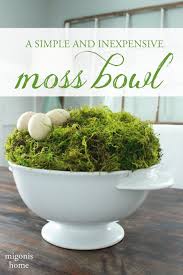 Http Www Migonishome Com P Projects Html Moss Spring Decor Bowl