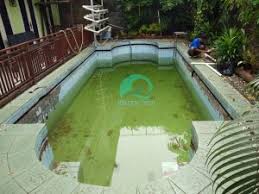 Maybe you would like to learn more about one of these? Kolam Bocor Dan Cara Penanganannya Brayan Pool