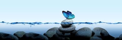 Shop for butterfly express essential oils in aromatherapy at walmart and save. The Butterfly Story Butterflyexpressions Net