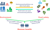Environment and food safety: a novel integrative review ...