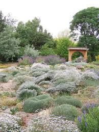 2 planting a xeriscaped garden. Steps To Xeriscaping Organic Landscapes In Atlanta Simply Organic Turf Care