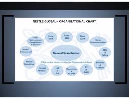 Nestle Philippines Financial Statement Analysis For Year
