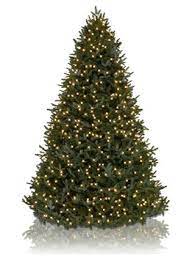 This tree radiates irresistible charm in its stunning replication of the majestic fir evergreens of north carolina. Bh Fraser Fir Artificial Christmas Trees Balsam Hill Realistic Artificial Christmas Trees Christmas Tree Sale Artificial Christmas Tree