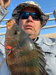 Does anyone fish in the canals?