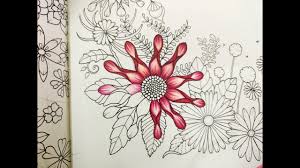 I am an illustrator and ink evangelist who prefers pens and pencils to pixels. How I Color A Flower World Of Flowers Johanna Basford Youtube