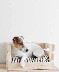 Ikea Hacks Your Pets Will Love Kallax Ikea Ikea Hack Ikea Cat