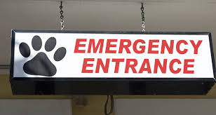 720 valencia st, san francisco, ca 94110, usa. Two Santa Clarita Veterinary Clinics Accused Of Negligence At Risk Of License Revocation