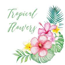 Watercolor Tropical Clipart Vector By Designloverstudio On Etsy Dessin Fleur Fleurs Tahiti Aquarelle Fleurs