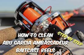 How To Clean Abu Garcia Ambassadeur Fishing Reels Fishing Reels Fishing Supplies Saltwater Fishing