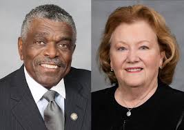 Voter Guide: Meet NC House 43 candidates