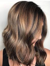 Summer Sun Kissed Brunette Bayalage Stephanie Stylist Summer Hair Color For Brunettes Summer Hairstyles Dark Brown Hair With Highlights Balayage