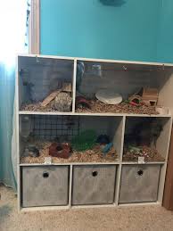 Pin On Cage Ideas