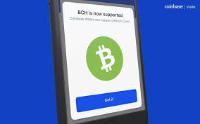 Also a popular bitcoin currency exchange, coinbase offers free online hot wallets and insures losses due to security breaches or hacks after linking your bitcoin wallet to the bitcoin exchange of your choice, the last step is the easiest — deciding how much bitcoin you want to buy. Coinbase Wallet Expanding With New Support For Bitcoin Cash