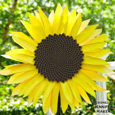Giant Paper Sunflower Tutorial This Will Mesmerize You Jennifer Maker