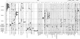 Image result for Eriocoelum