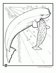 Coloring will give wings to your child's imagination and will take him/her places. Pin On Artic Animals