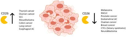 Use the menu below to choose the introduction section to get started. Cancers Free Full Text The Role Of Post Translational Modifications Of Chemokines By Cd26 In Cancer Html