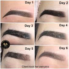 Ombre Brows Healing Stages Next Class Santaana Hawaii Sanjose Nyc Chicago To Register For Class Please Go To Http Microblading Brows Microblading Eyebrows