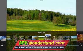 The apk format was developed by google and it is categorized as an executable file. Perfect Viewer Apk Mod Free Download For Android Apk Wonderland