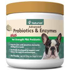 Probiotic supplements i recommend for dogs. Naturvet Advanced Probiotics Enzymes Plus Vet Strength Pb6 Probiotic Powder For Dogs Cats 8 Oz Petco