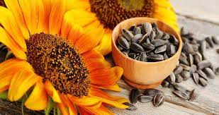 New Study Examines Allergic Reactions To Sunflower Seeds In 2021 Heart Healthy Healthy Foods To Eat Seeds