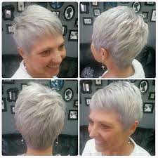 Pin On Gray Hair Color Goals
