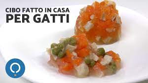 In verità entrambi le tipologie possono andar bene per il tuo micetto, per far sì che cresca sano e forte. Cibo Per Gatti Fatto In Casa Ricette Pollo E Verdure Per Gatti Youtube
