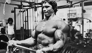 Arnold Schwarzenegger Bodybuilding Workout Routine And Diet