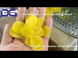 Shenyang beiya beverage machinery co. Potato Chips Machine Corn Extrusion Pellet Plant 3d 2d Snack Pellet Papad Machinery Youtube