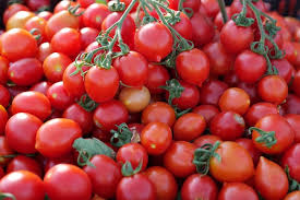 Image result for tomato Datterino