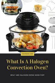 Everything You Need To Know About Halogen Convection Oven Reviewho In 2020 Convection Oven Oven Canning Convection