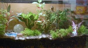 Fairy Garden Terrarium Fairy Garden Garden Terrarium Indoor Fairy Gardens